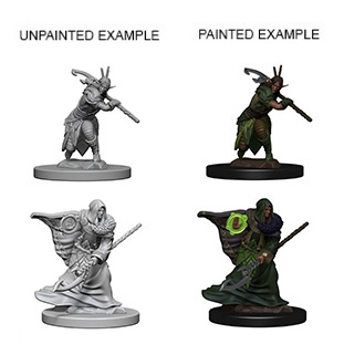 Dungeons & Dragons Nolzur’s Marvelous Miniatures: Elf Druid (Male) 