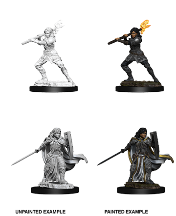 Dungeons & Dragons Nolzur’s Marvelous Miniatures: Female Human Paladin 