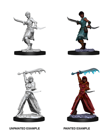 Dungeons & Dragons Nolzur’s Marvelous Miniatures: Female Human Rogue 