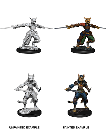 Dungeons & Dragons Nolzur’s Marvelous Miniatures: Female Tabaxi Rogue 