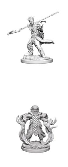 Dungeons & Dragons Nolzur’s Marvelous Miniatures: Human Druid (Male) 