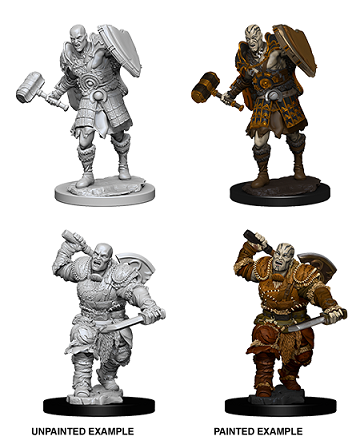 Dungeons & Dragons Nolzur’s Marvelous Miniatures: Goliath Fighter (Male) 