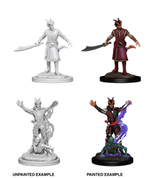 Dungeons & Dragons Nolzur’s Marvelous Miniatures: Tiefling Warlock (Male) 
