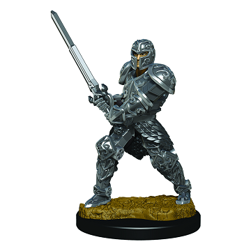 Dungeons & Dragons Premium Figures: MALE HUMAN FIGHTER 