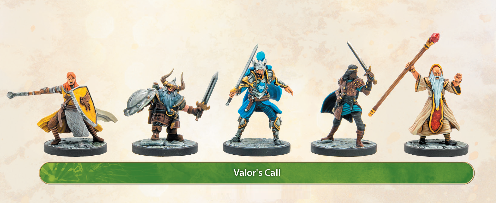 Dungeons & Dragons Collectors Series: Valors Call 