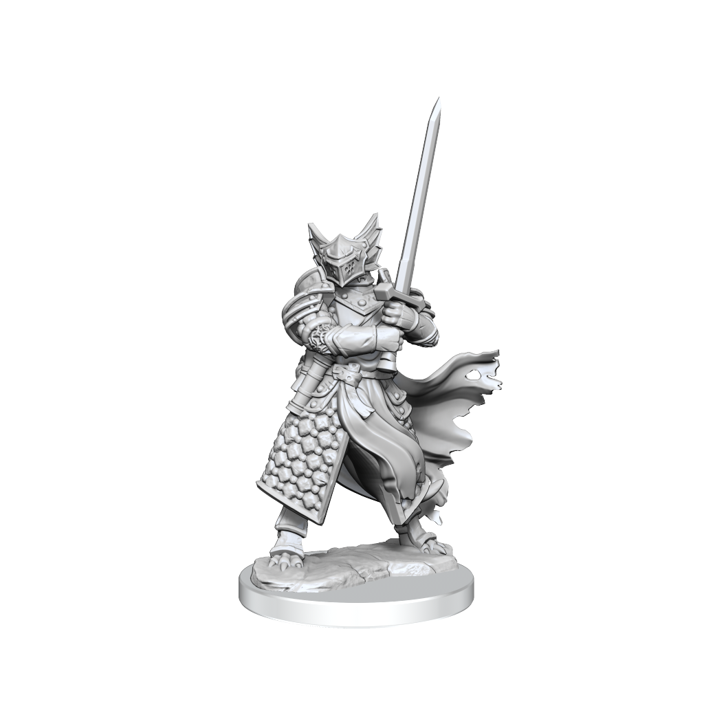 Dungeons & Dragons: Frameworks: Dragonborn Paladin Male 