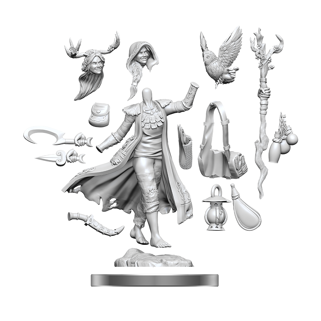 Dungeons & Dragons: Frameworks: Human Druid Female 