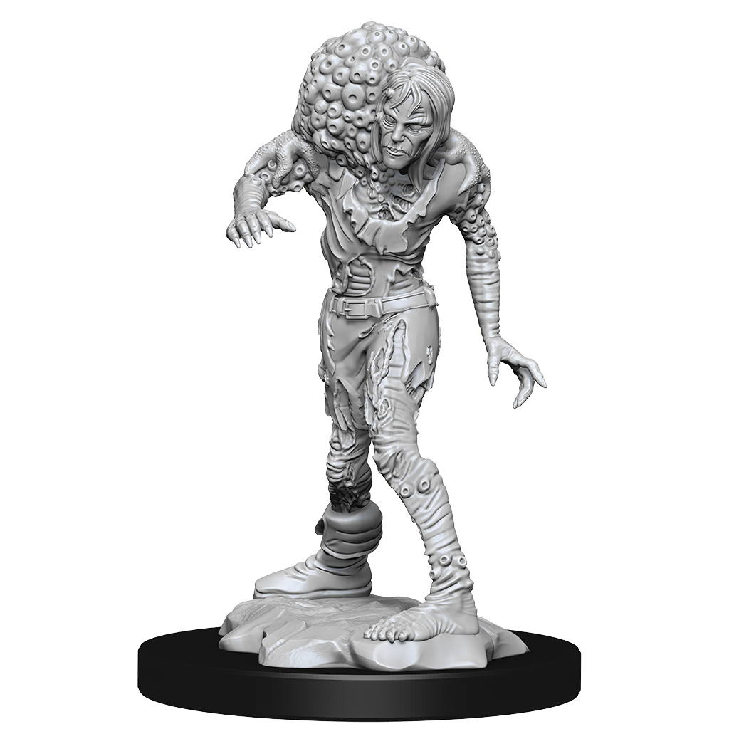 Dungeons & Dragons Nolzur’s Marvelous Miniatures: DROWNED ASSASSIN/ ASETIC 