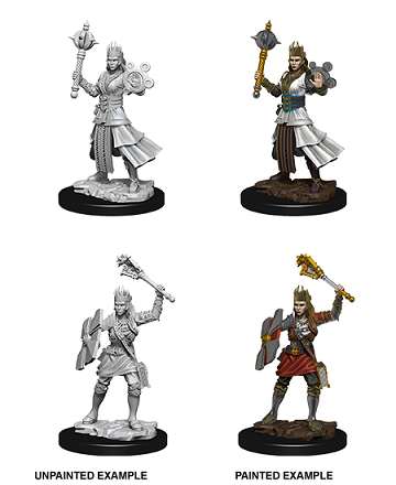 Dungeons & Dragons Nolzur’s Marvelous Miniatures: Human Cleric (Female) 