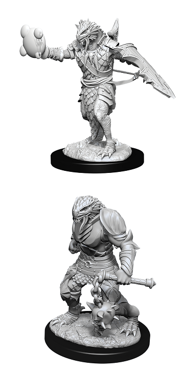 Dungeons & Dragons Nolzur’s Marvelous Miniatures: MALE DRAGONBORN PALADIN 