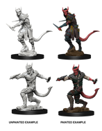 Dungeons & Dragons Nolzur’s Marvelous Miniatures: Tiefling Rogue (Male) 