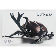 Fujimi Living Thing Series: Japanese Rhinoceros Beetle Biology Edition Pre-painted kit 