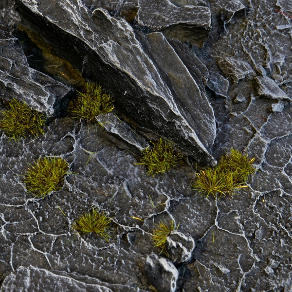 Gamers Grass: Tiny Tuft: Dark Moss 