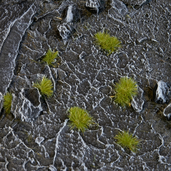 Gamers Grass: Tiny Tuft: Dry Green 