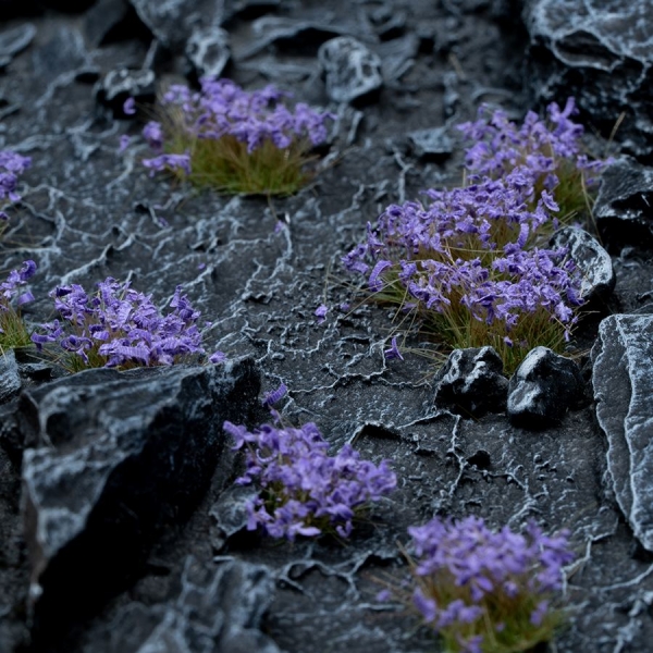 Gamers Grass: Violet Flowers: Wild 