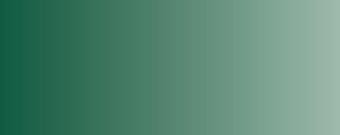 Vallejo Model Air Color 014: Gunship Green 