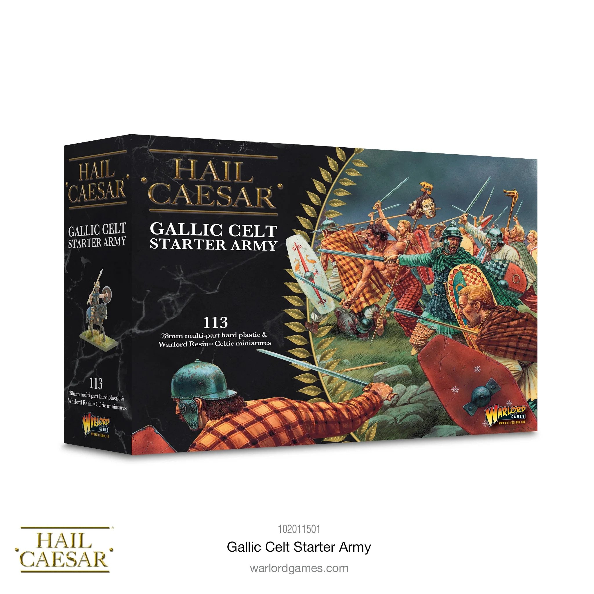 Hail Caesar: Gallic Celt Starter Army 