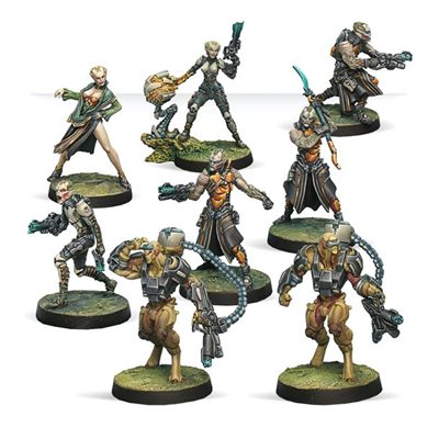 Infinity Tohaa (#1116): Combat Force Special Release Pack Alpha 