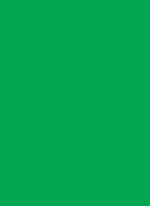 Legion: Solid Sleeves: Green 