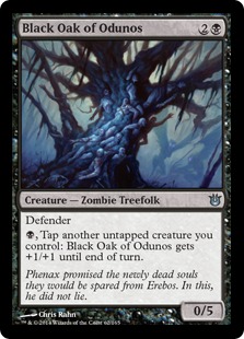 MTG: Born of the Gods 062: Black Oak of Odunos 