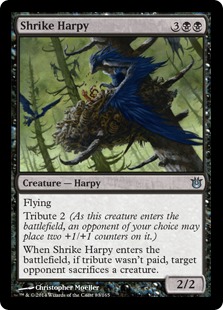 MTG: Born of the Gods 083: Shrike Harpy - Foil 