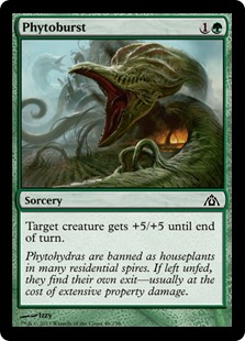 MTG: Dragons Maze 046: Phytoburst 