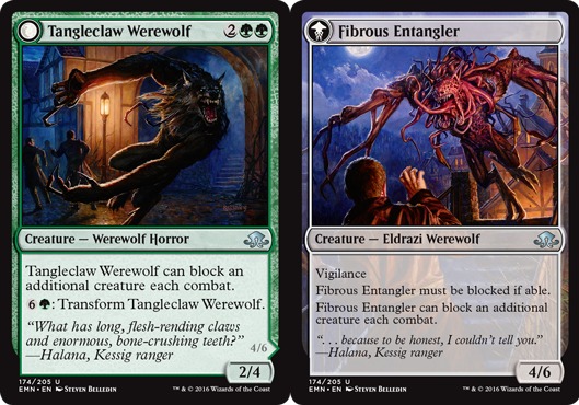MTG: Eldritch Moon 174: Tangleclaw Werewolf // Fibrous Entangler 