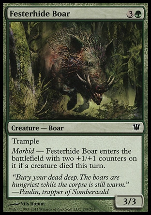 Magic: Innistrad 179: Festerhide Boar (FOIL) 
