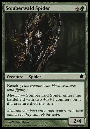 MTG: Innistrad 202: Somberwald Spider (FOIL) 