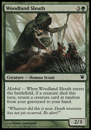 MTG: Innistrad 210: Woodland Sleuth (FOIL) 