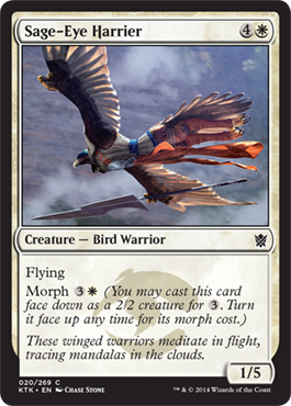 MTG: Khans of Tarkir 020: Sage-Eye Harrier 