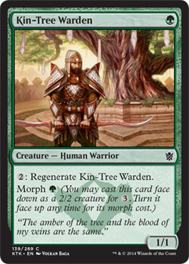 MTG: Khans of Tarkir 139: Kin-Tree Warden 