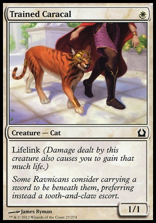 Magic: Return to Ravnica 027: Trained Caracal 