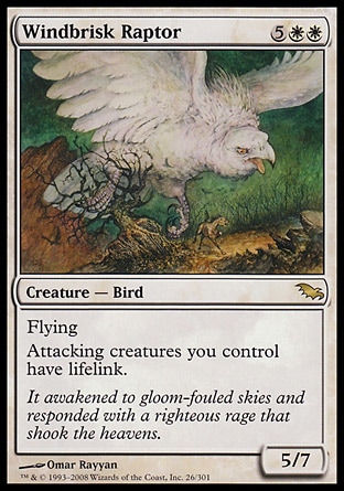 MTG: Shadowmoor 026: Windbrisk Raptor 
