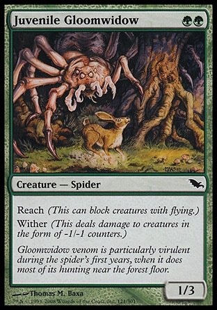 MTG: Shadowmoor 121: Juvenile Gloomwidow - Foil 