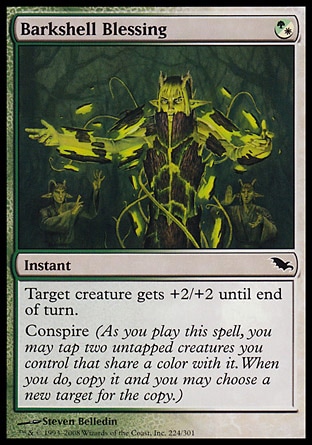 MTG: Shadowmoor 224: Barkshell Blessing - Foil 