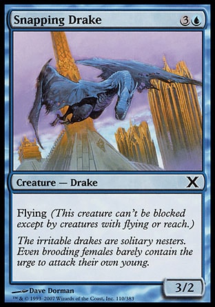 MTG: Tenth Edition 110: Snapping Drake 