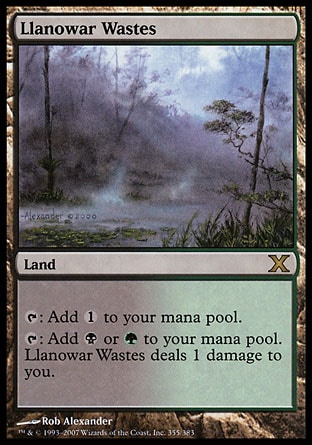 Magic: Tenth Edition 355: Llanowar Wastes 