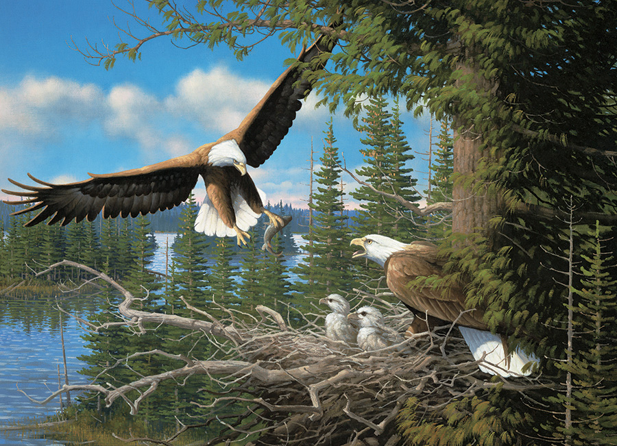 Cobble Hill Puzzles (1000): Nesting Eagles 