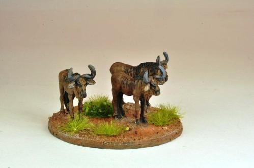 North Star Africa: Gnu / Wildebeast (5) 