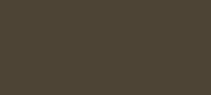 Vallejo Model Wash: Oiled Earth 