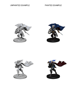 Pathfinder Deep Cuts: ELF FEMALE PALADIN 