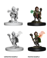 Pathfinder Deep Cuts: GNOME MALE DRUID 