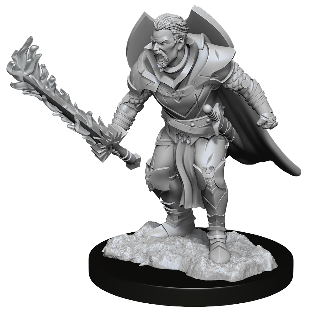 Pathfinder Deep Cuts: HUMAN CHAMPION MALE (2) 