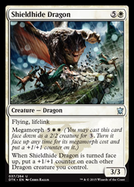 MTG: Dragons of Tarkir 037: Shieldhide Dragon 