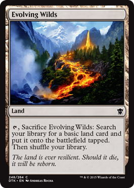 MTG: Dragons of Tarkir 248: Evolving Wilds 