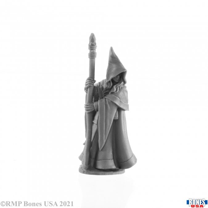 Reaper Legends: Anirion, Elf Wizard Elf Wizard 