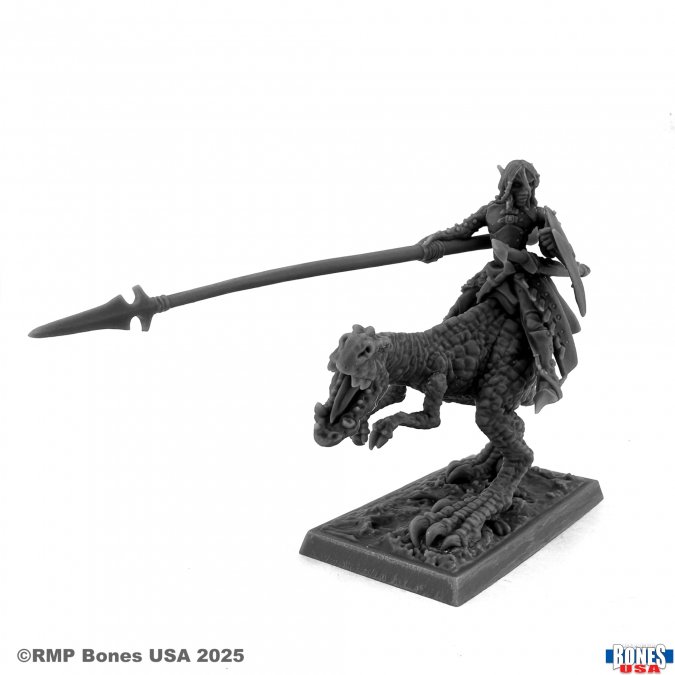 Reaper Legends: Dark Elf Hero on Lizard 