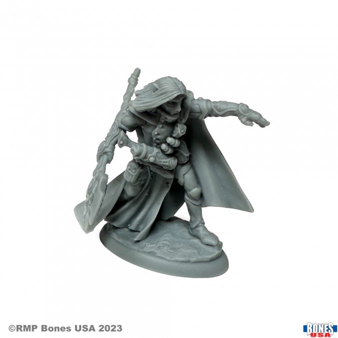 Reaper Legends: Elquin the Daring Elf Hero 