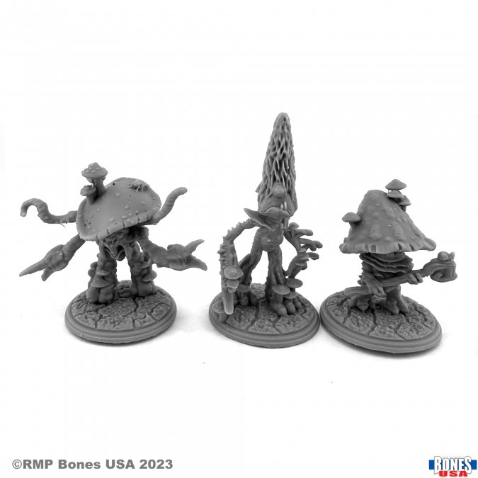 Reaper Legends: Fungoids 